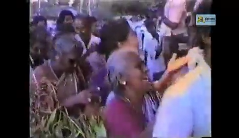 WhatsApp Video 2022-10-04 at 14.23.13