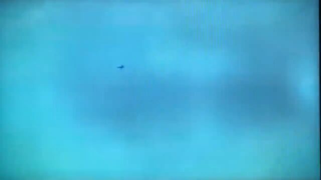 ssstwitter.com_1669869601602